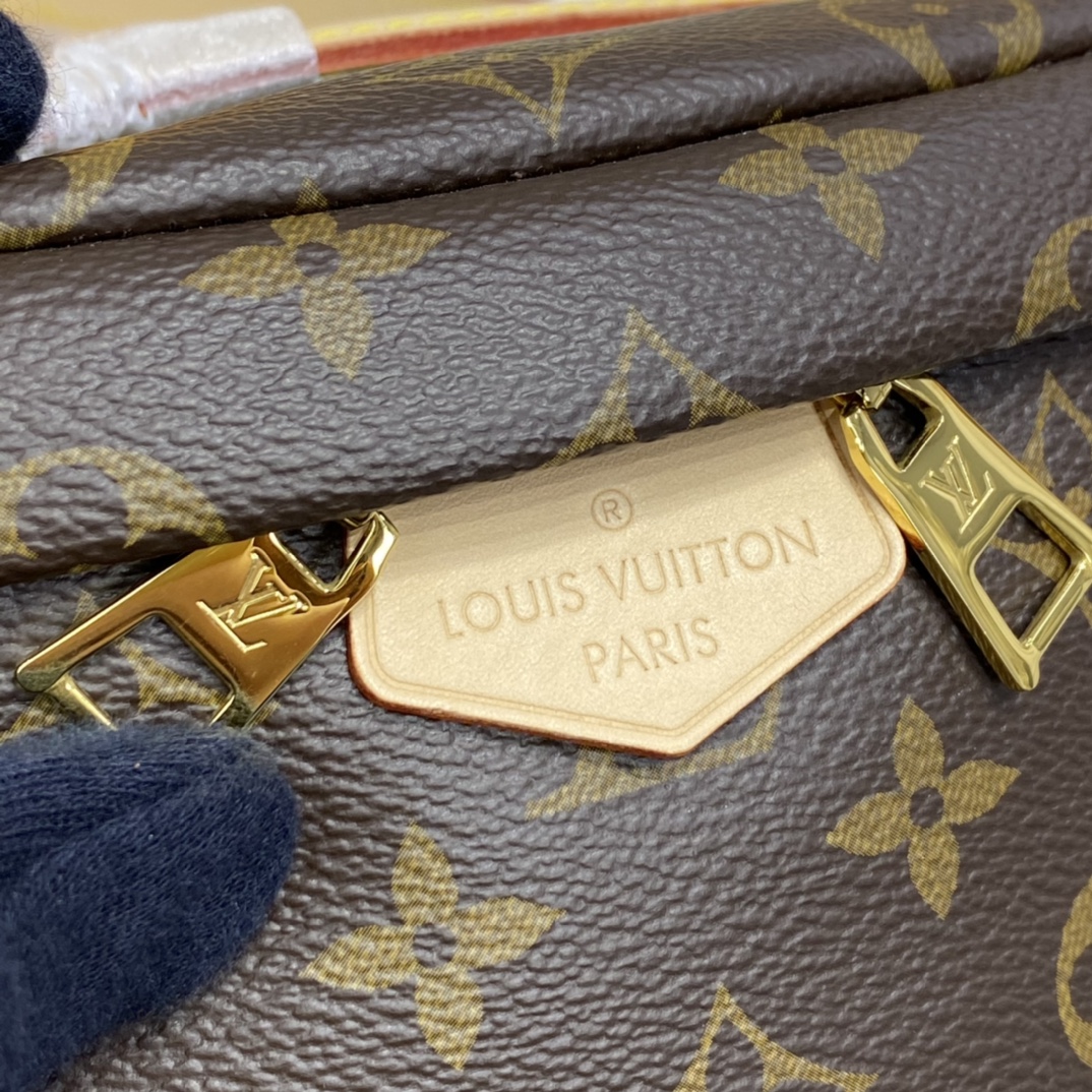 Louis Vuitton BUMBAG Monogram M43644